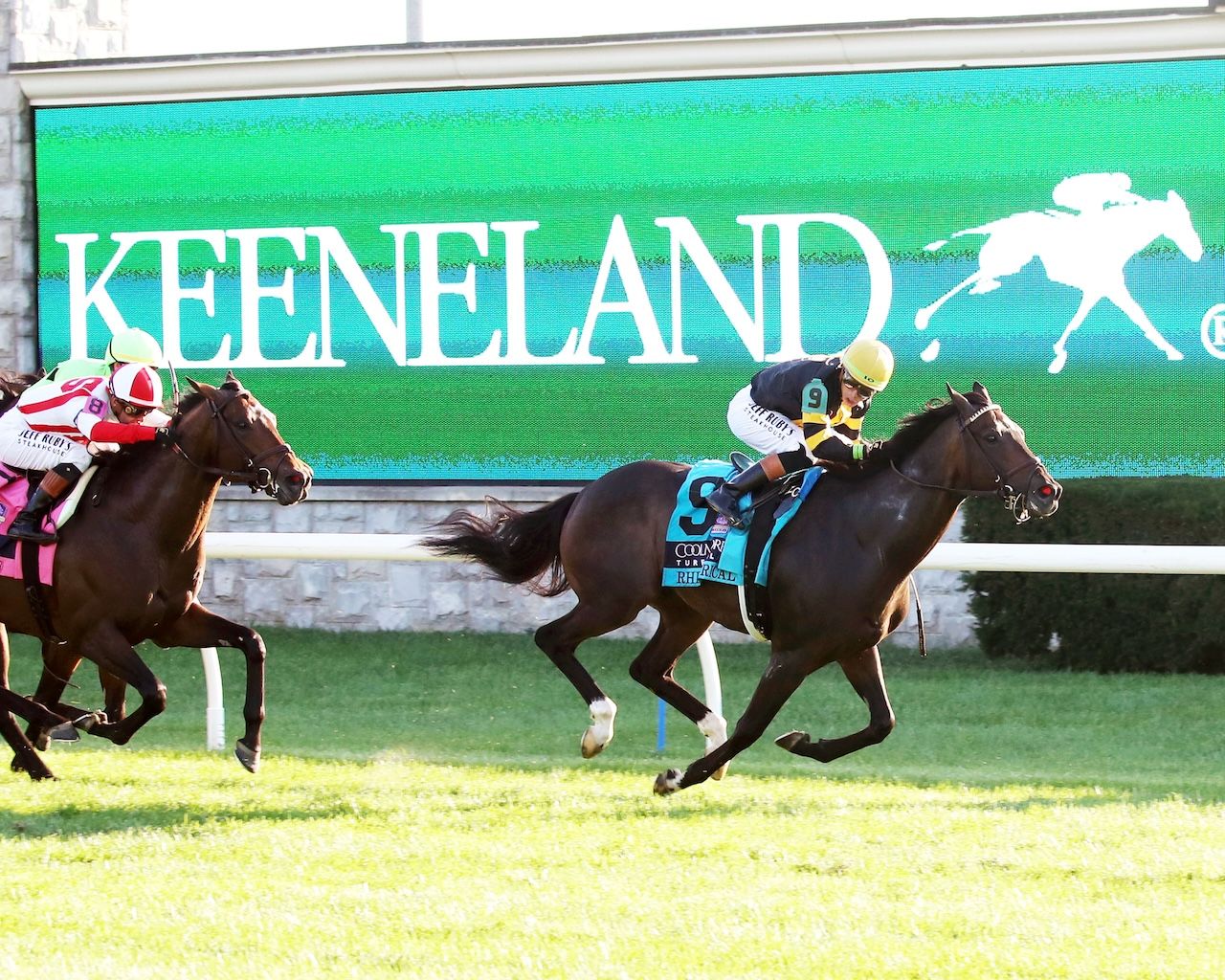 Rhetorical wins the Turf Mile at Keeneland.