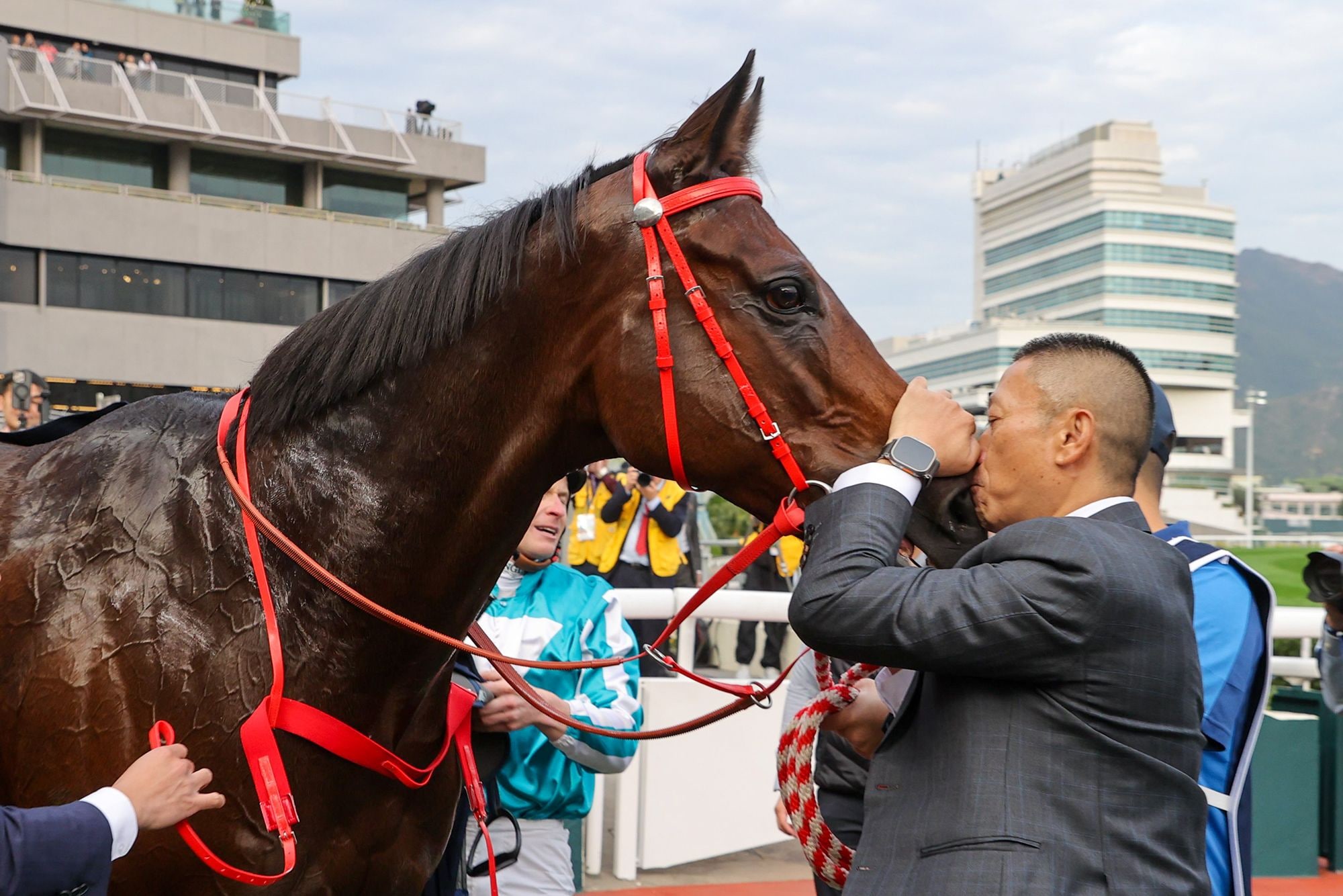 Trainer Danny Shum gives Romantic Warrior some love