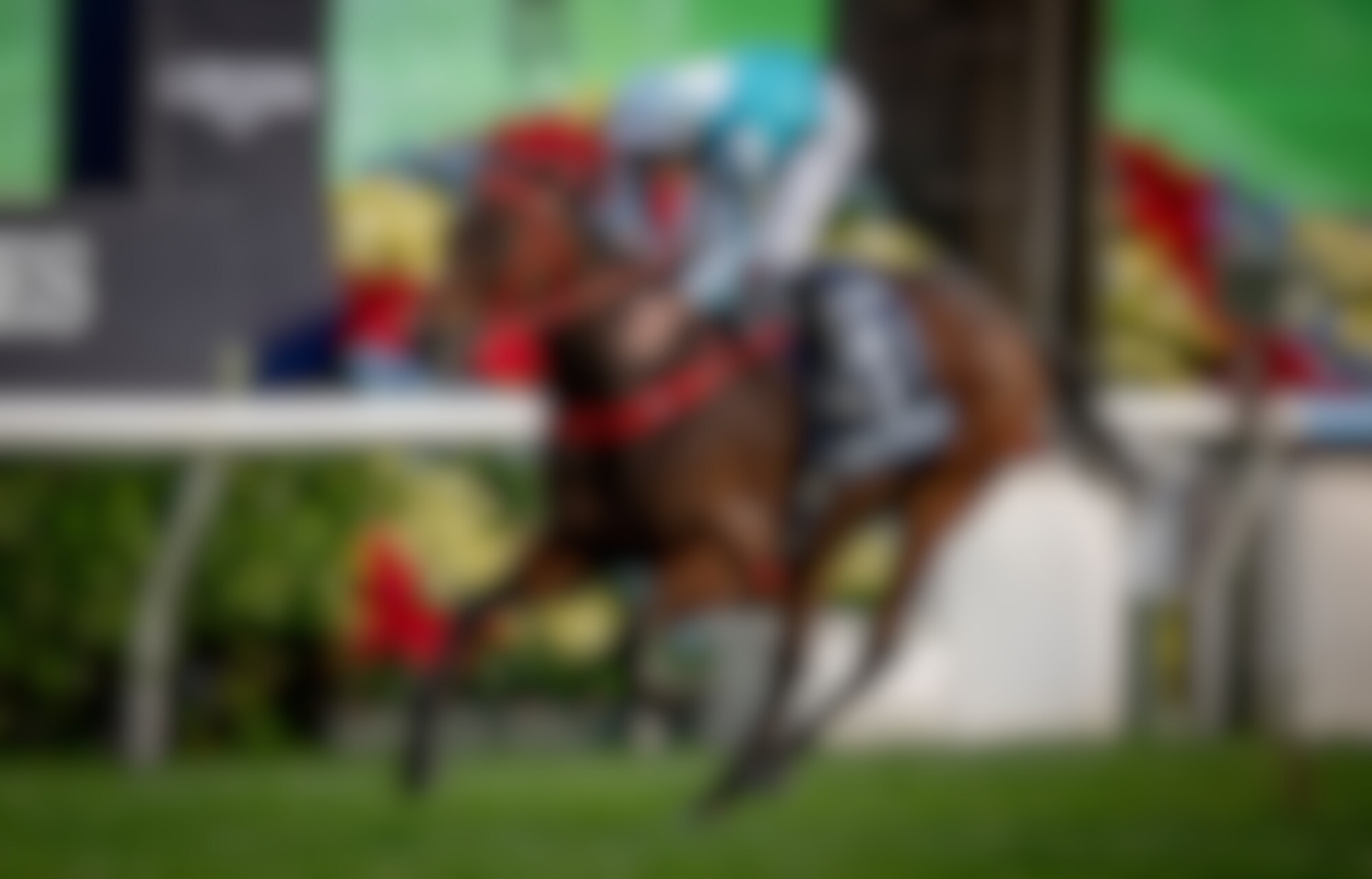 Romantic Warrior wins the Hong Kong Cup (G1) for the fourth time