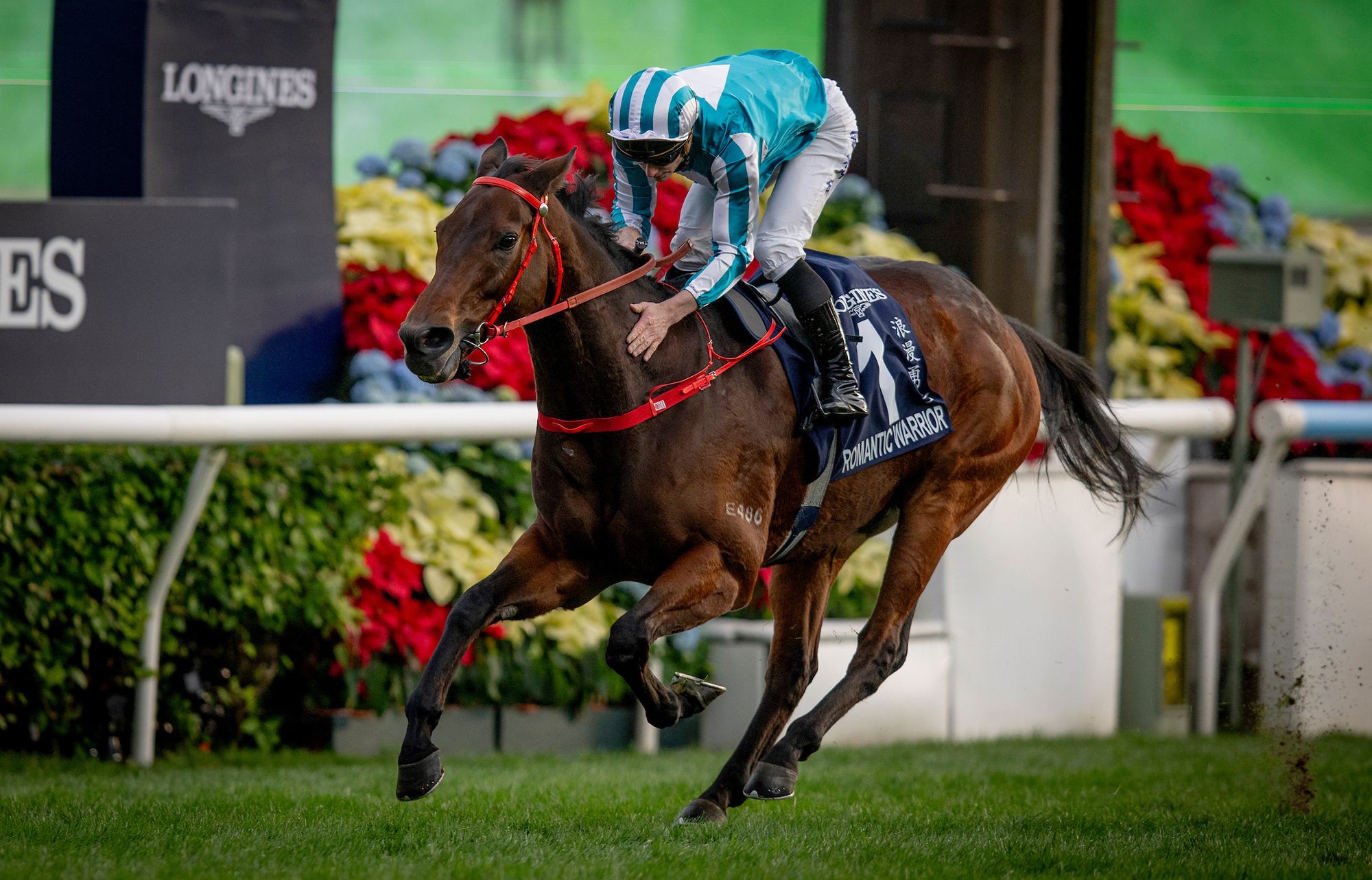 Romantic Warrior wins the Hong Kong Cup (G1) for the fourth time