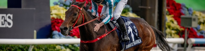 Romantic Warrior stands alone as four-time Hong Kong Cup hero