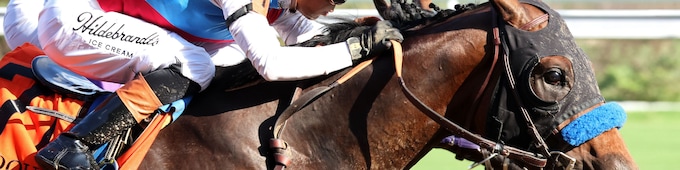 Salahudin overcomes tough trip, wins first Kentucky Derby qualifier in Iroquois