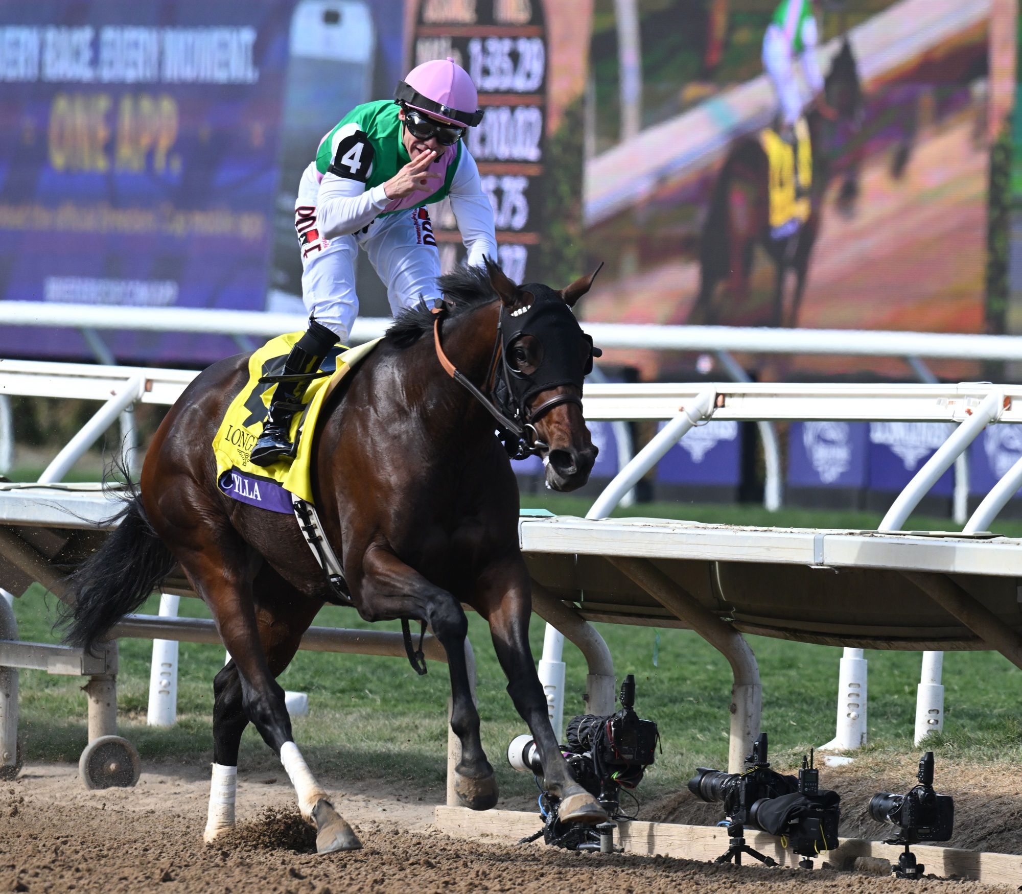 Scylla winning the Breeders' Cup Distaff (G1) at Del Mar