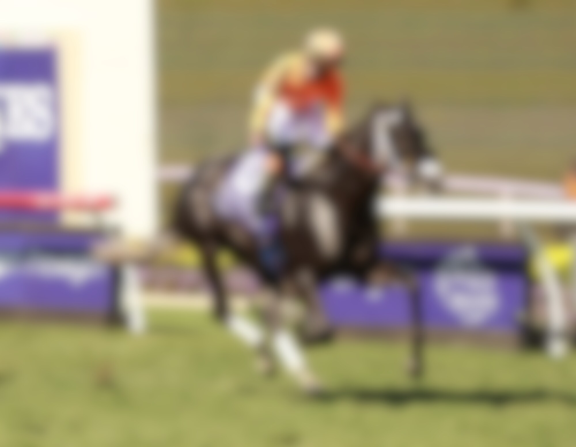 Shisospicy winning the Breeders' Cup Turf Sprint (G1) at Del Mar