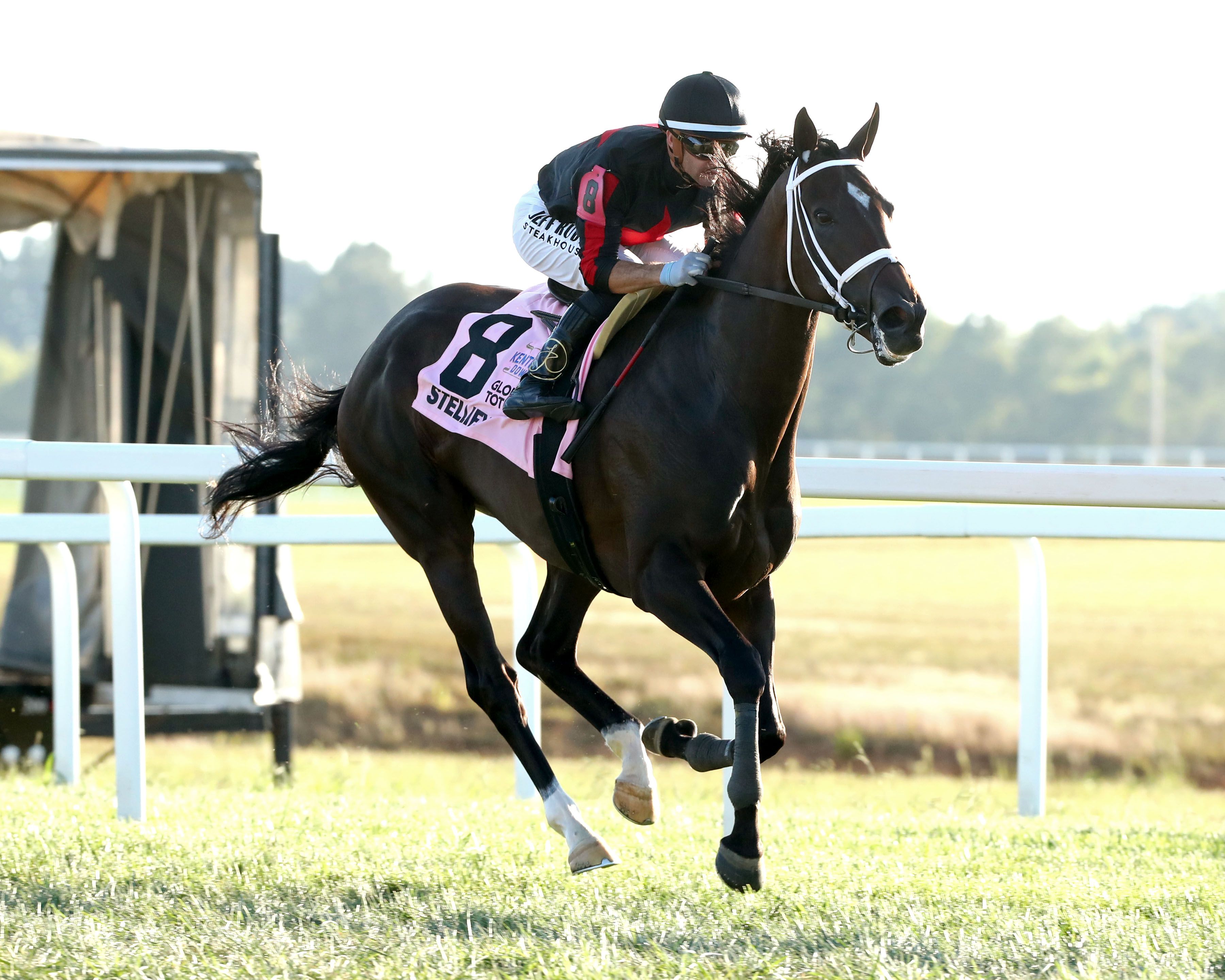Stellify became the first two-time winner of the Kentucky Downs Ladies Marathon (G3)