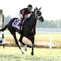 Stellify romps in Kentucky Downs Ladies Marathon repeat