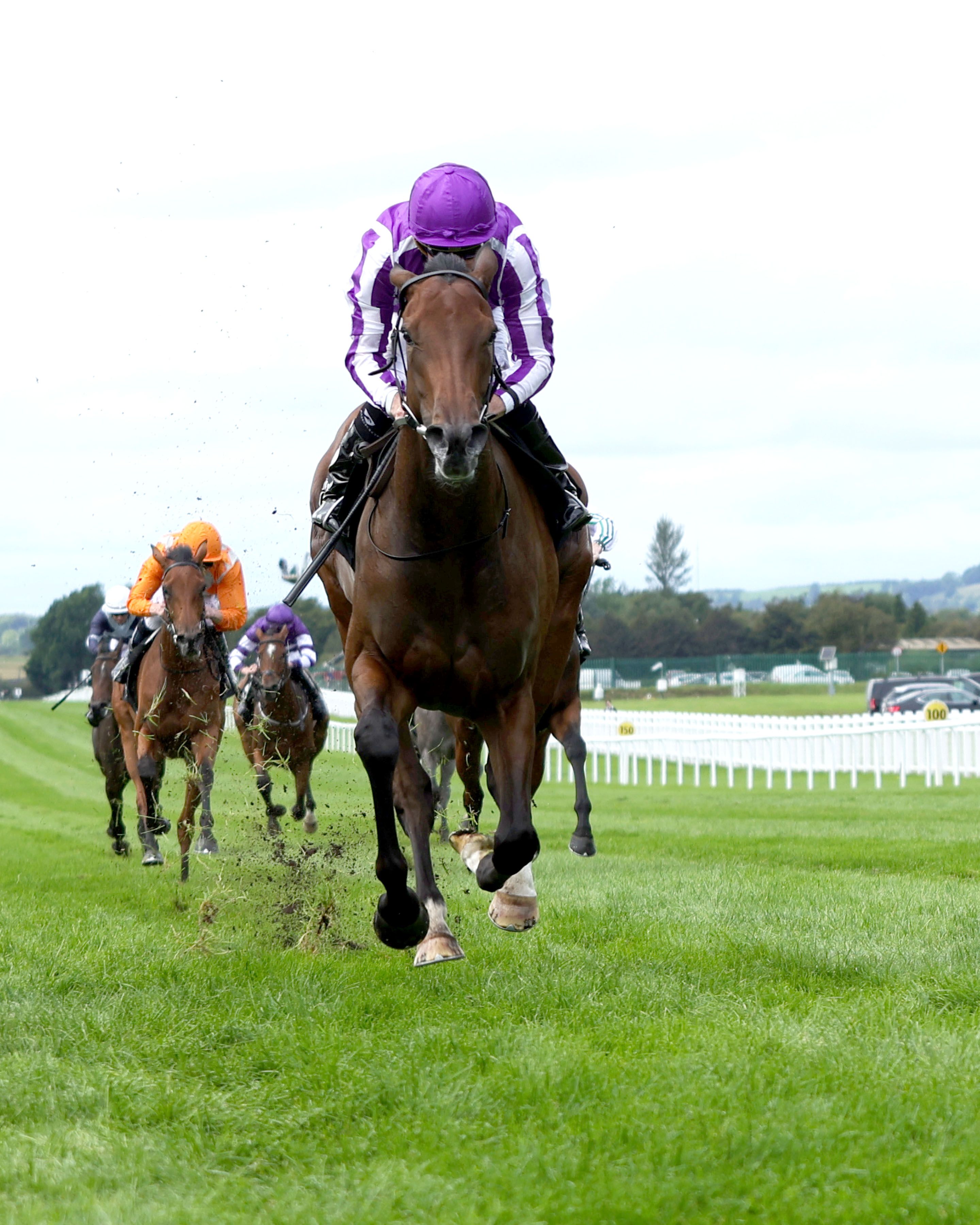 Sun Goddess romped in the Moyglare Stud (G1)