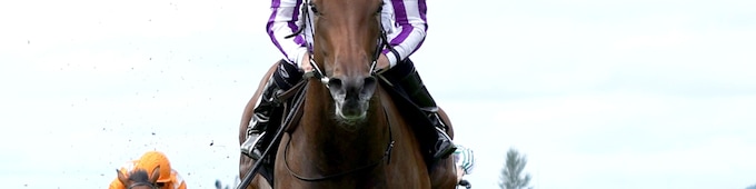 Sun Goddess, Folsom Blues dominate BC WAYIs at the Curragh
