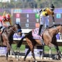 Super Corredora bids to revive Oaks prospects in Santa Ysabel