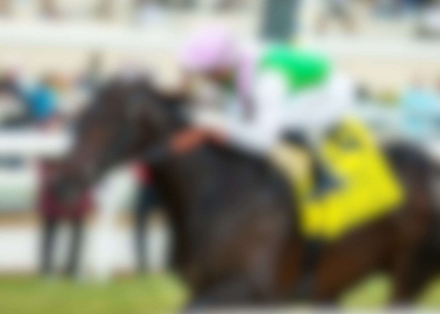 Salamis wins the Hollywood Derby (G1)