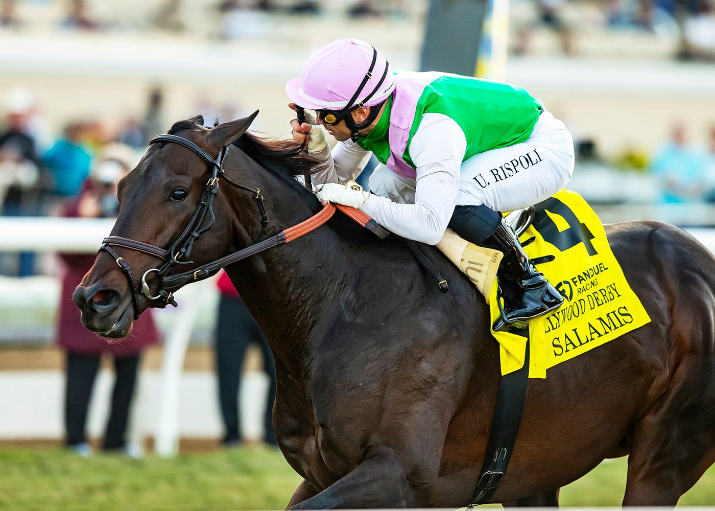 Salamis wins the Hollywood Derby (G1)