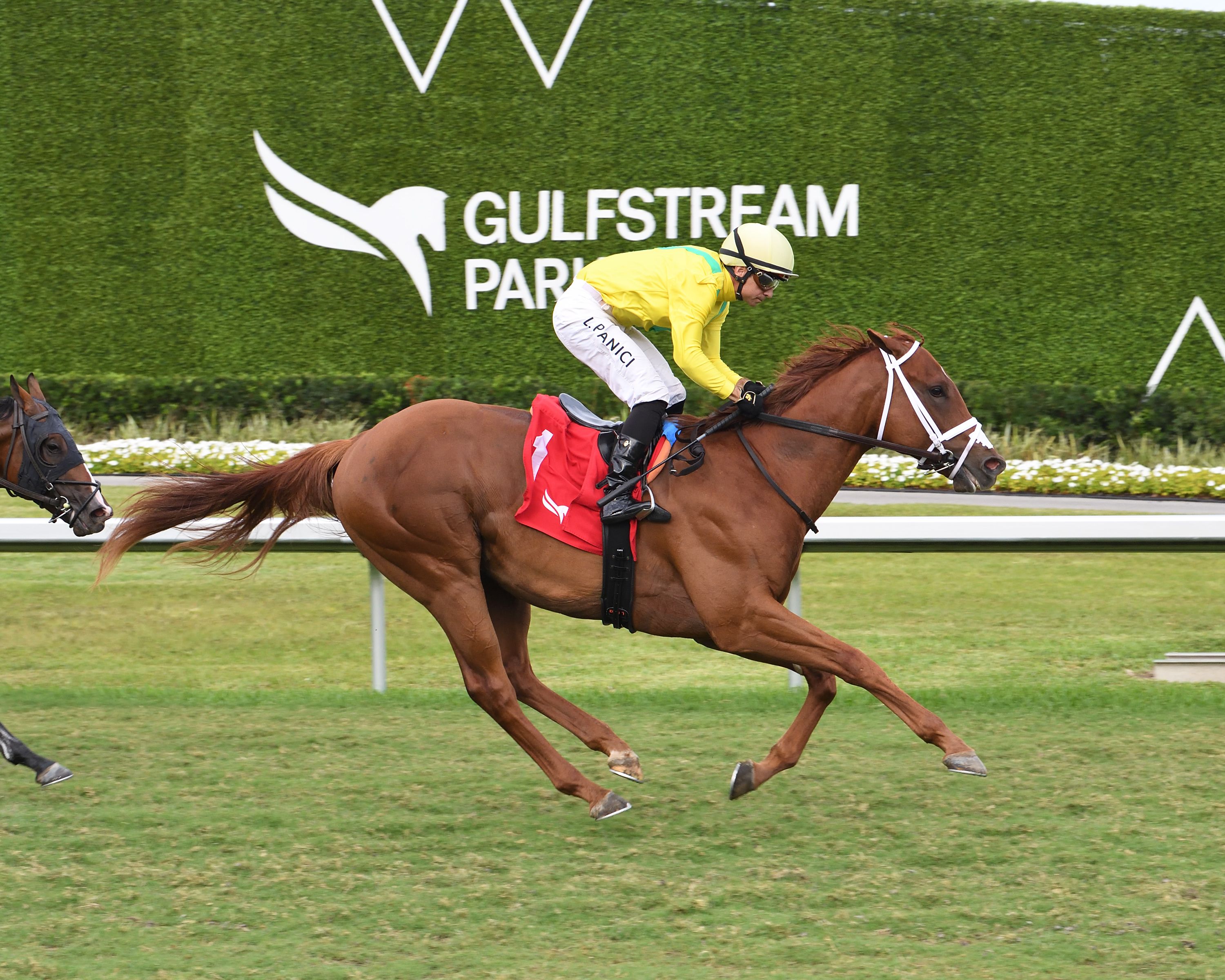 Sandal's Song made a winning career debut in the Royal Palm Juvenile