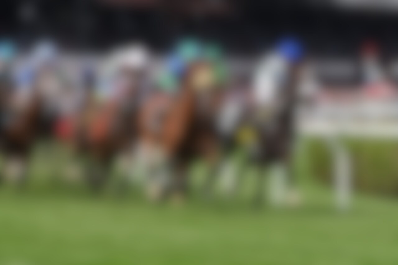 Turf racing at Saratoga 