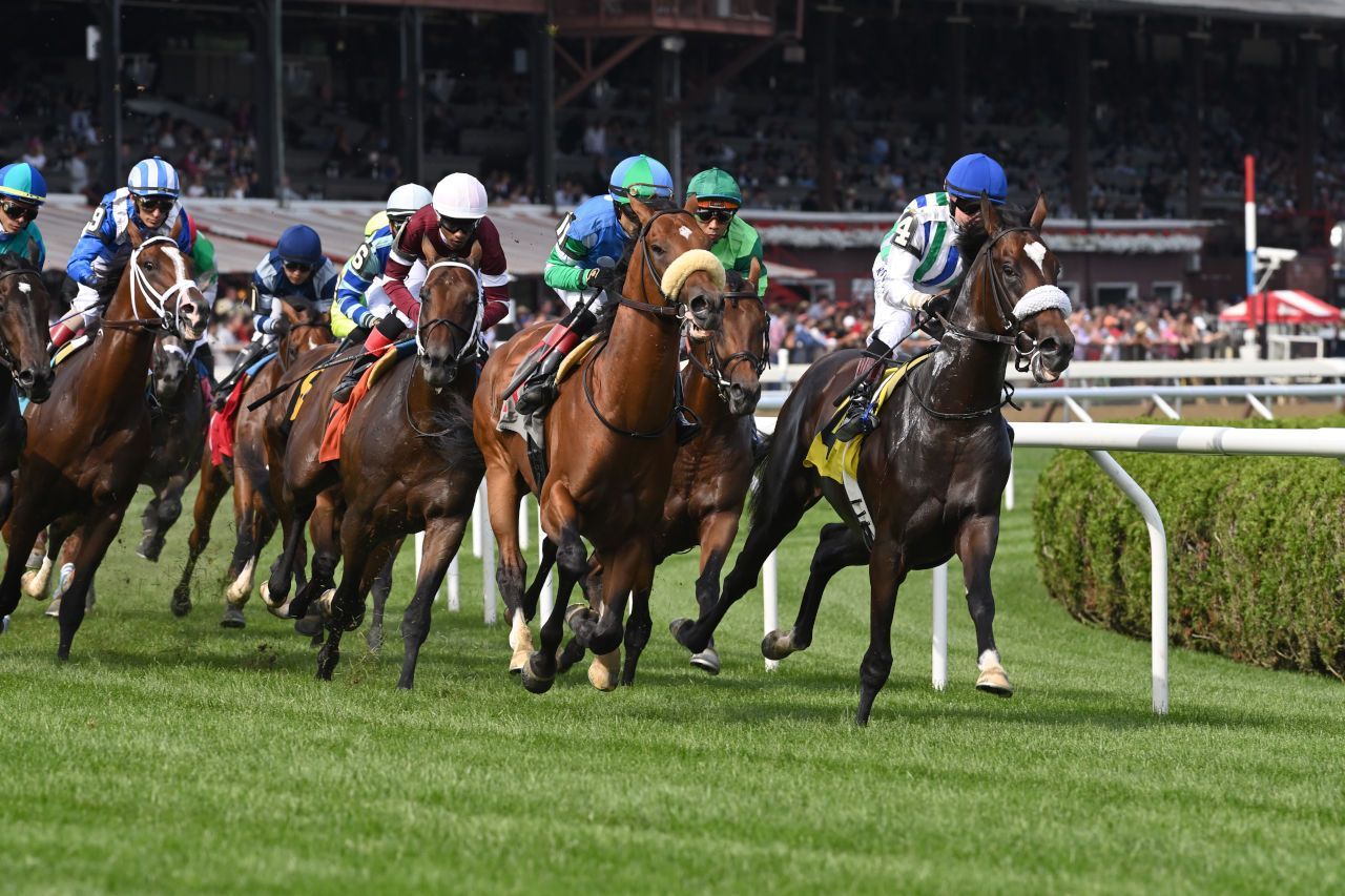 Turf racing at Saratoga