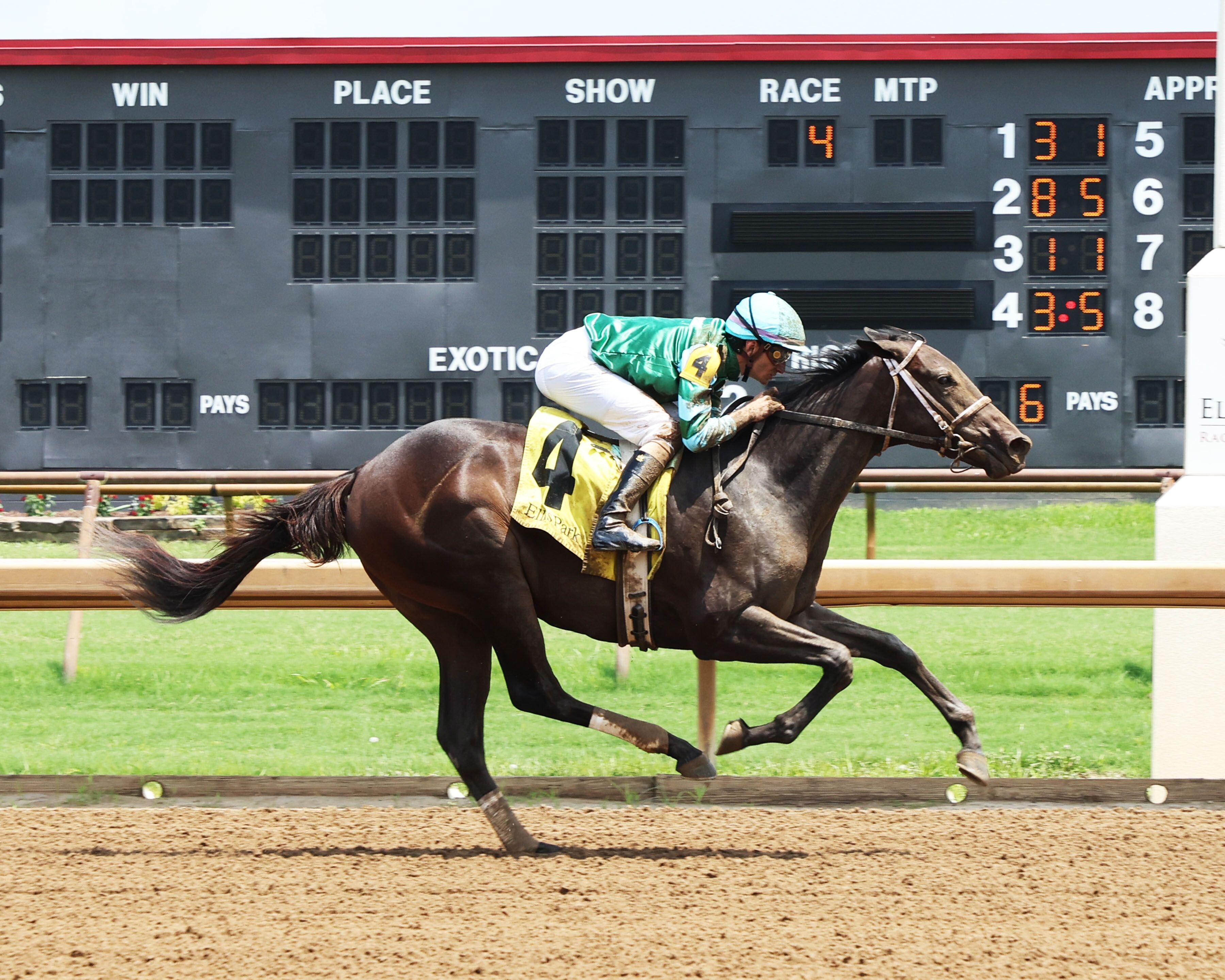 Adirondack card includes rescheduled Curlin, Glens Falls