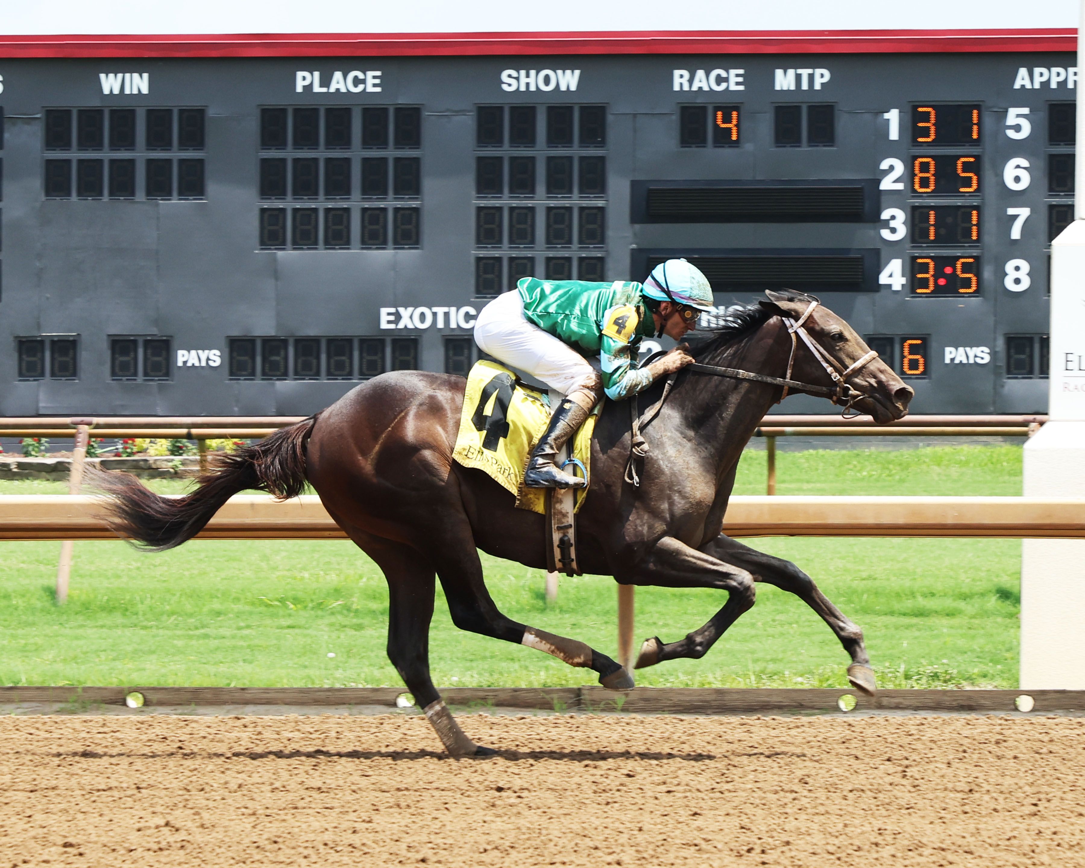 Scarlett Begonia romped on debut at Ellis Park