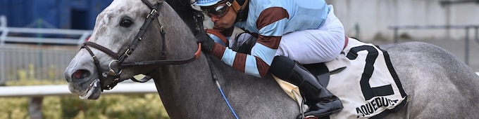 Brown targets Withers with promising maiden winners