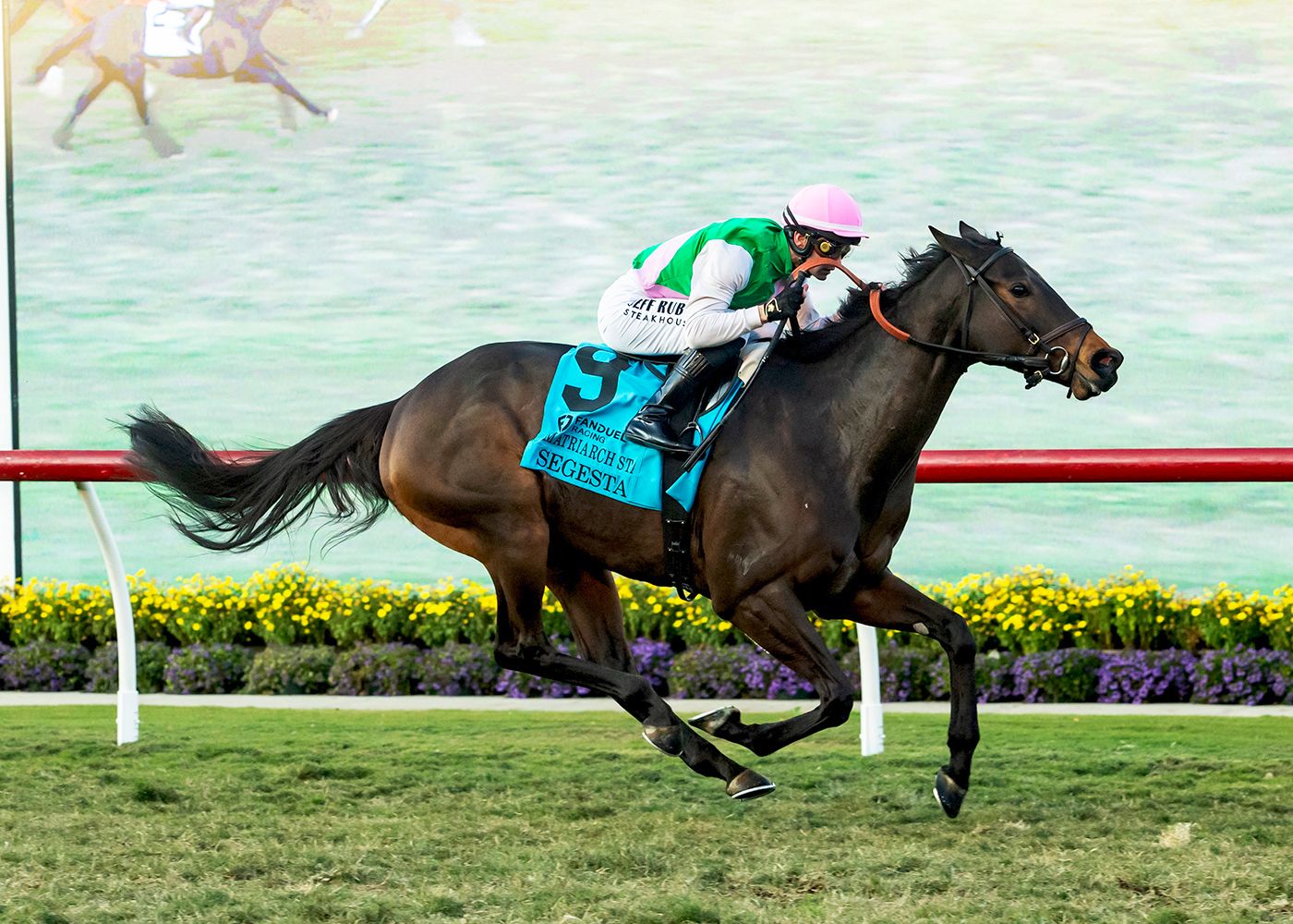 Segesta wins the Matriarch (G1)