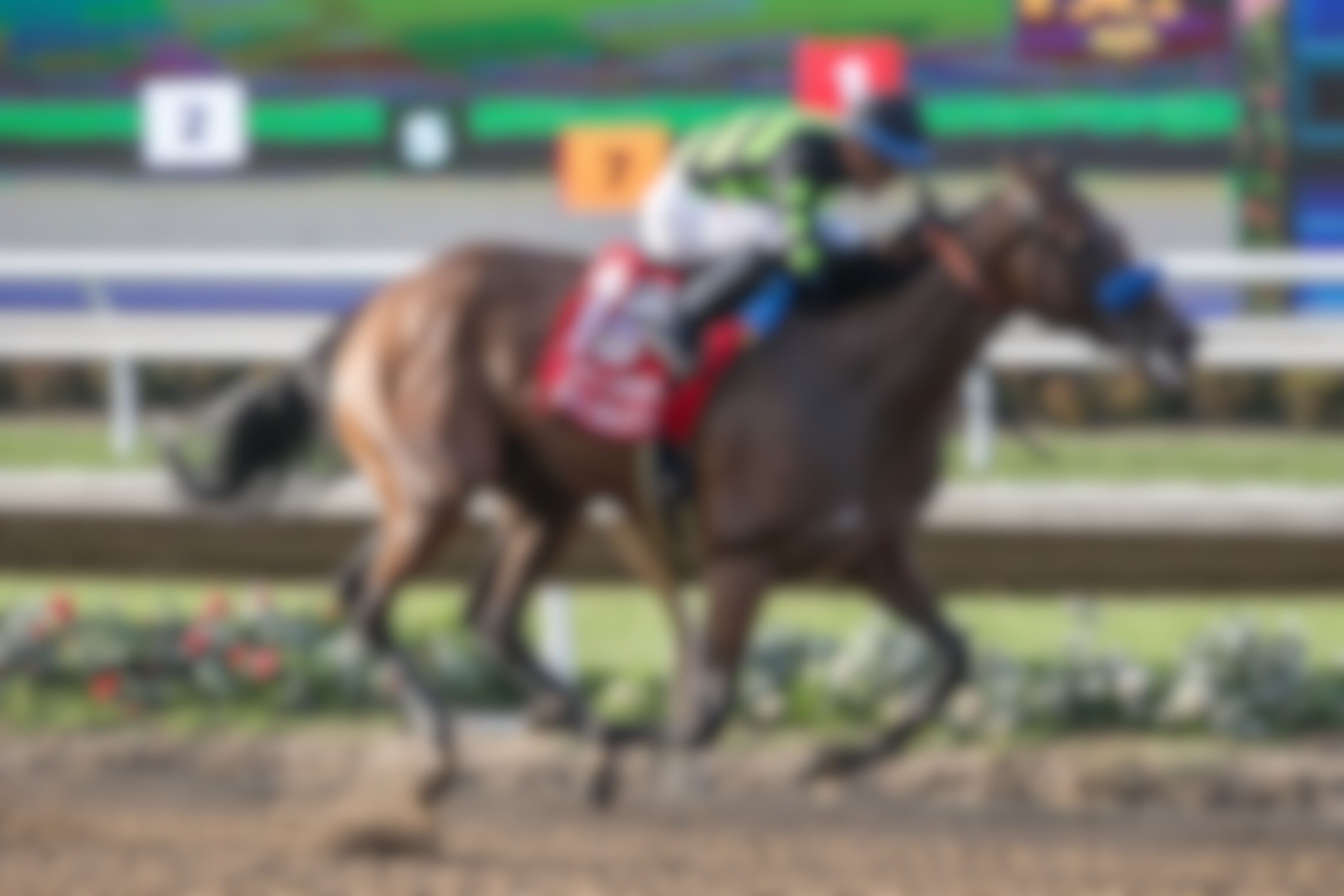 Seismic Beauty wired the Clement L. Hirsch at Del Mar