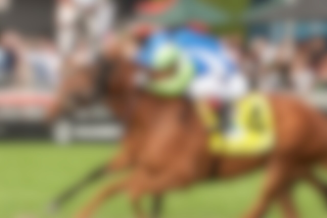 She Feels Pretty wins the E.P. Taylor Stakes at Woodbine.