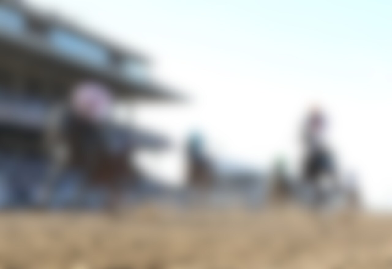 Sierra Leone wins the Breeders' Cup Classic