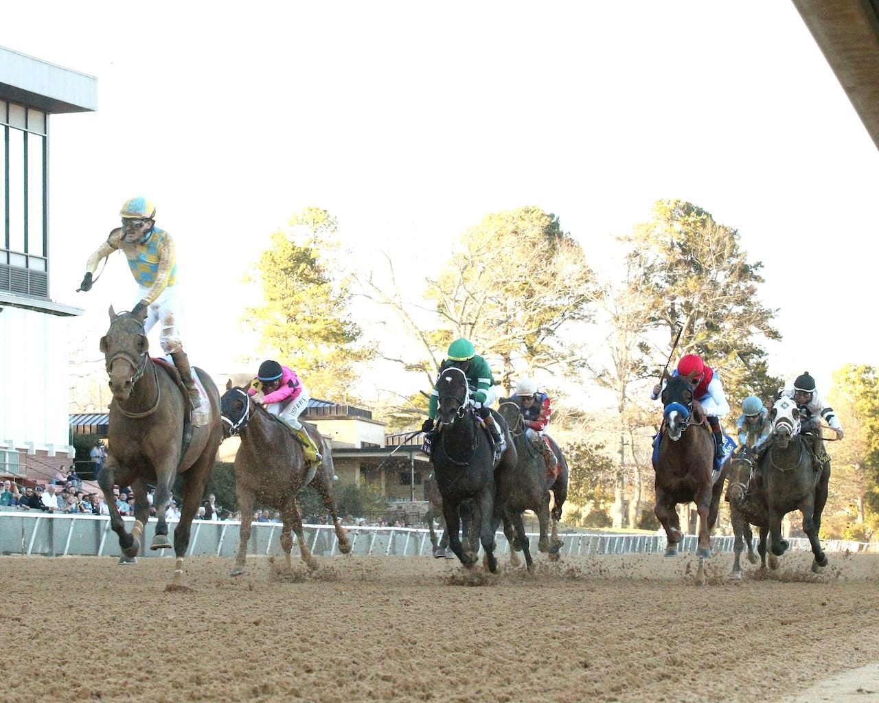 Silent Tactic, Search Party win Southwest, Martha Washington