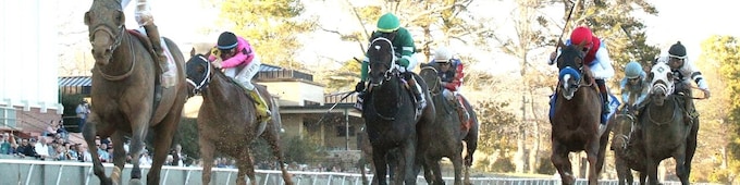 Silent Tactic, Search Party win Southwest, Martha Washington