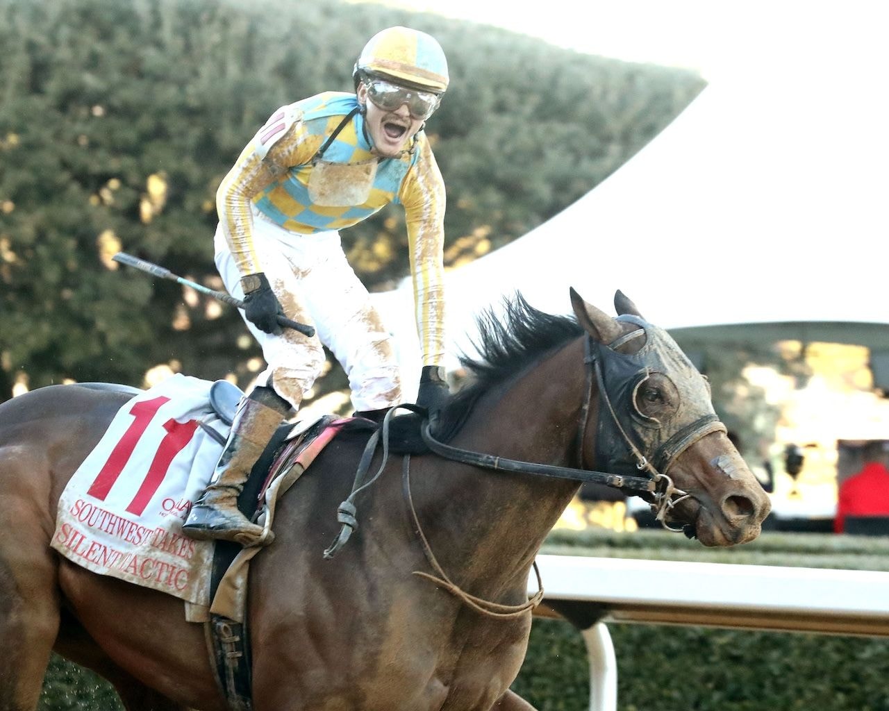 Silent Tactic wins the Southwest Stakes at Oaklawn Park.