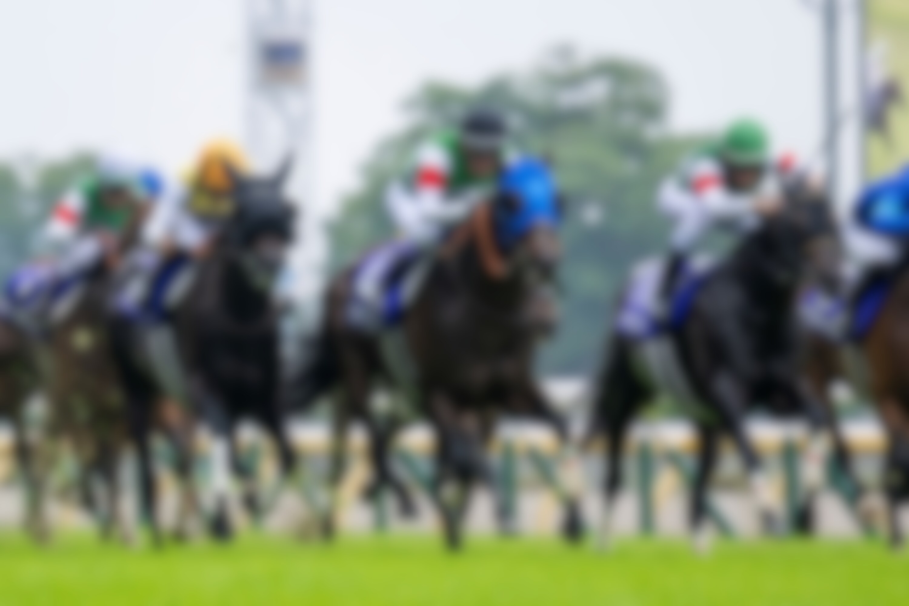 Sixpence (blue blinkers) upsets the Yasuda Kinen (G1)