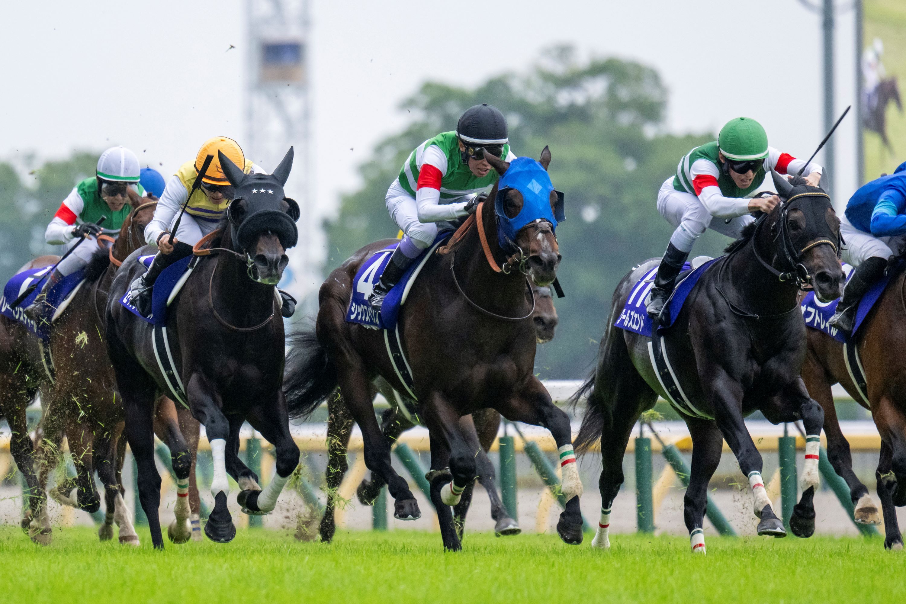 Sixpence (blue blinkers) upsets the Yasuda Kinen (G1)