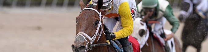 Pegasus World Cup Day preps offered at Gulfstream