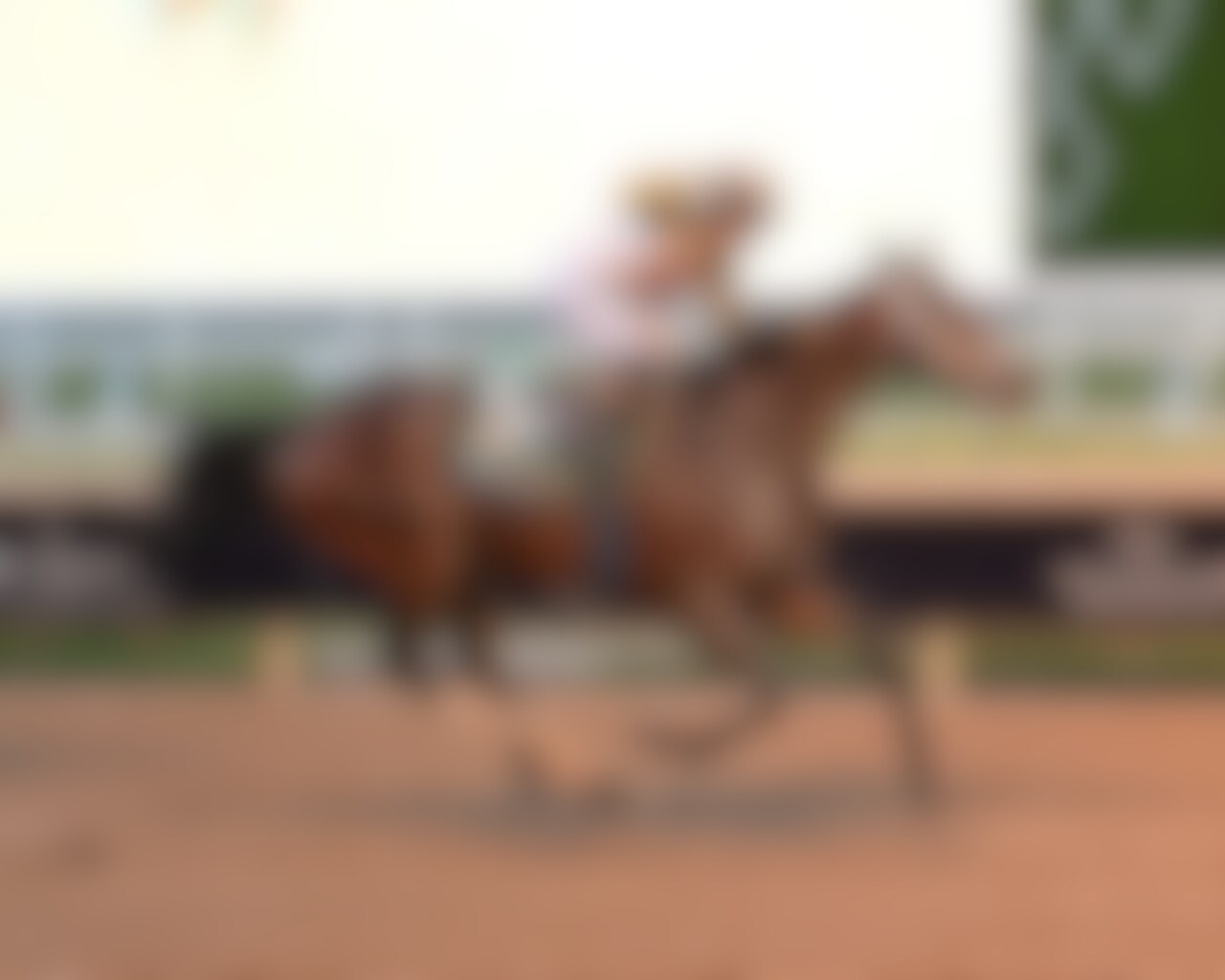 Skippylongstocking wins the Pegasus World Cup at Gulfstream Park. 