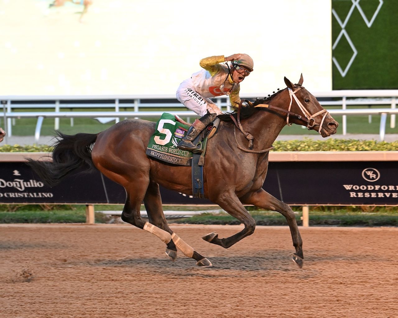 Skippylongstocking wins the Pegasus World Cup at Gulfstream Park.
