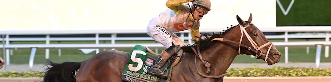 Skippylongstocking lands Pegasus World Cup in fourth try