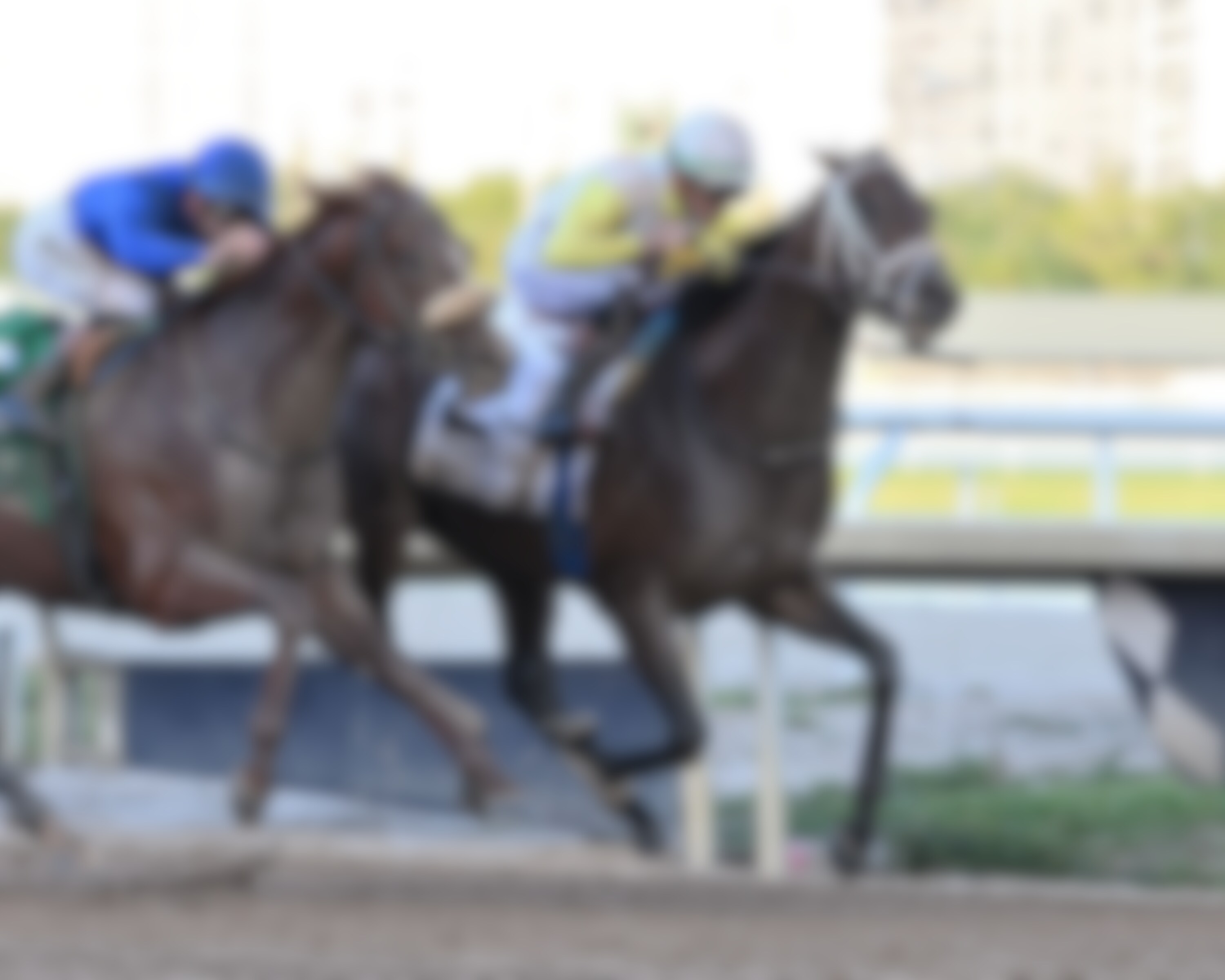 Skippylongstocking holds off Poster in the Harlan's Holiday (G3)