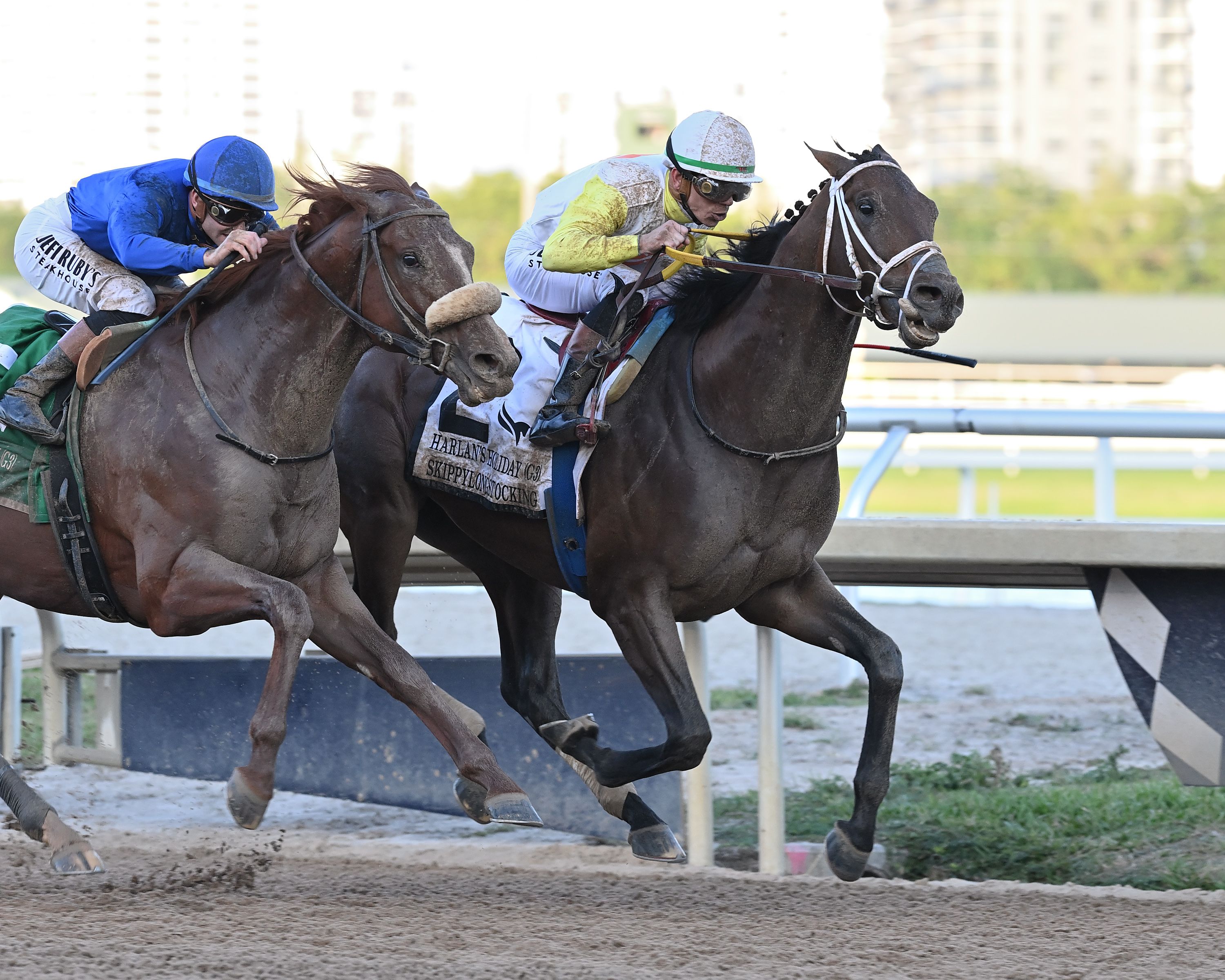 Skippylongstocking holds off Poster in the Harlan's Holiday (G3)