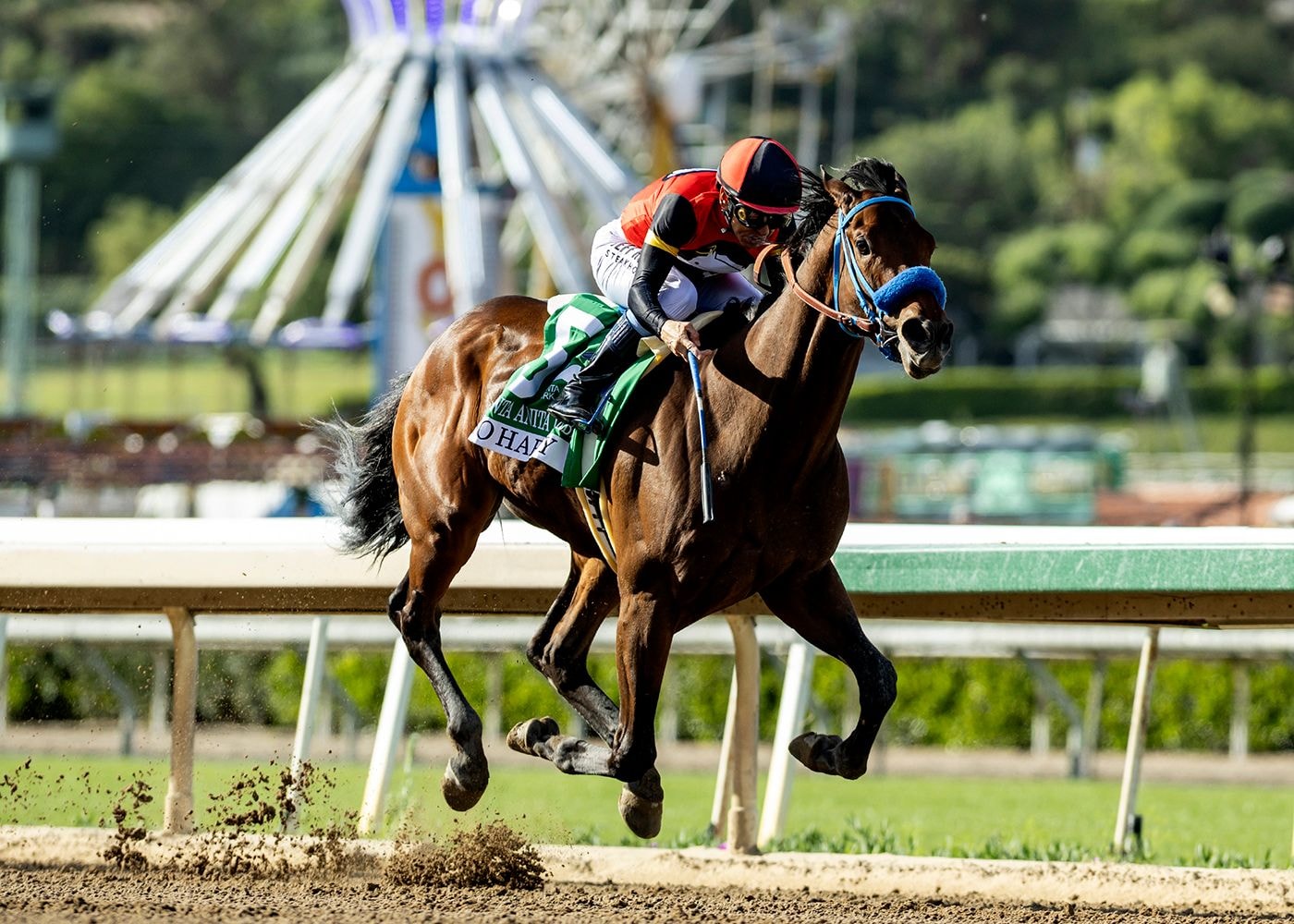 So Happy wins the Santa Anita Derby at Santa Anita.