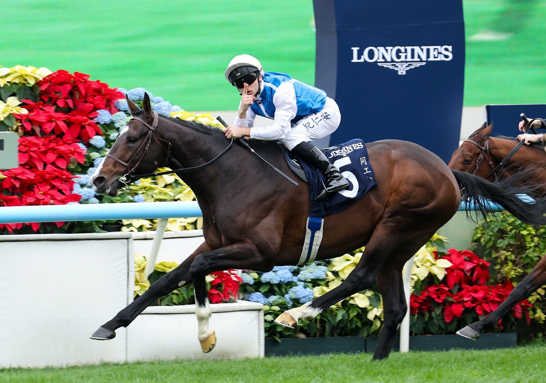 Sosie dethrones Giavellotto in Hong Kong Vase