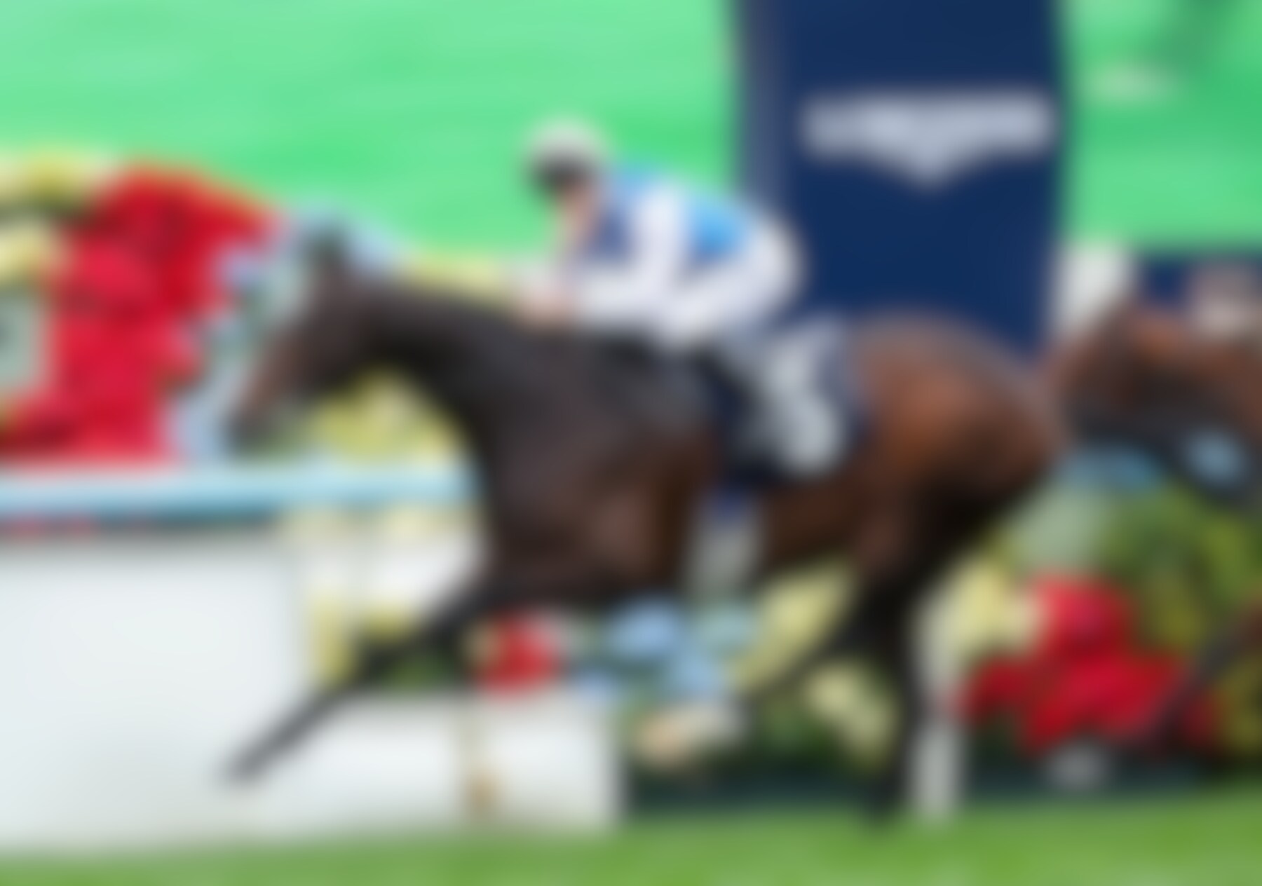 Sosie gave trainer Andre Fabre a record fourth win in the Hong Kong Vase (G1)