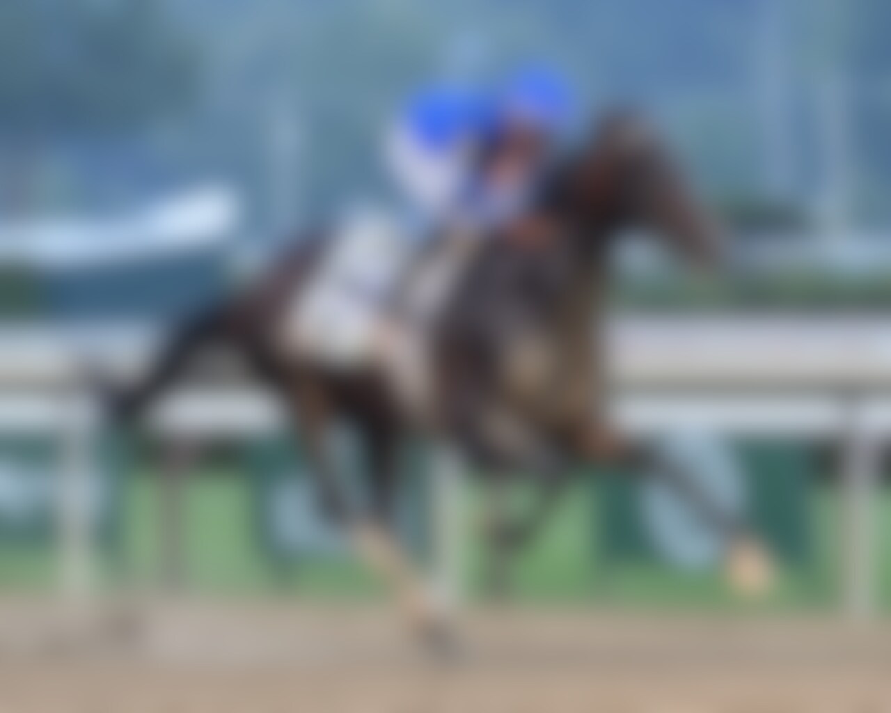 Sovereignty wins the 2025 Belmont Stakes at Saratoga.