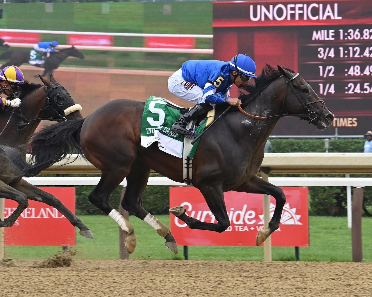 Sovereignty wins the 2025 Jim Dandy at Saratoga.