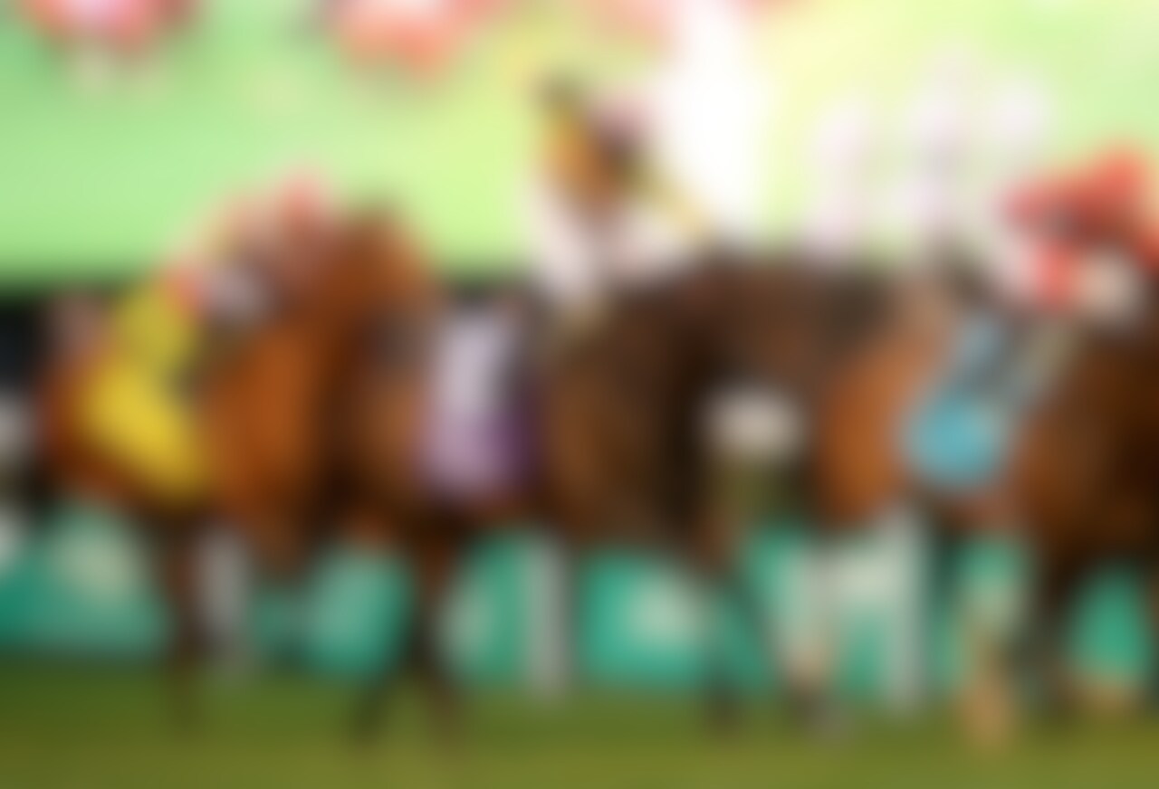 Spirit of St Louis winning the Old Forester Bourbon Turf Classic (G1) at Churchill Downs