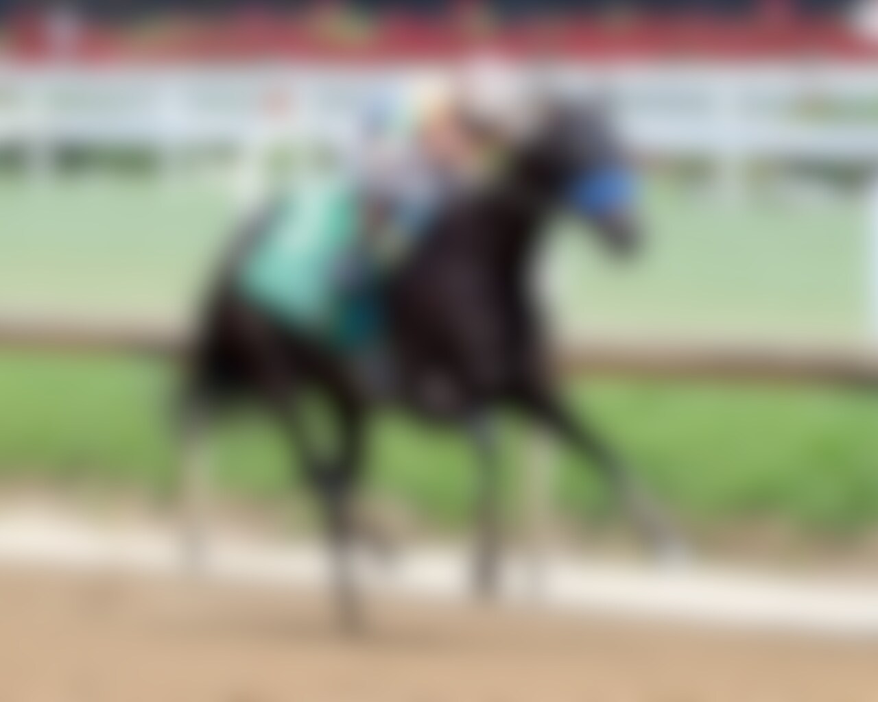 Splendora wins the Shawnee at Churchill Downs on Stephen Foster Preview Day.