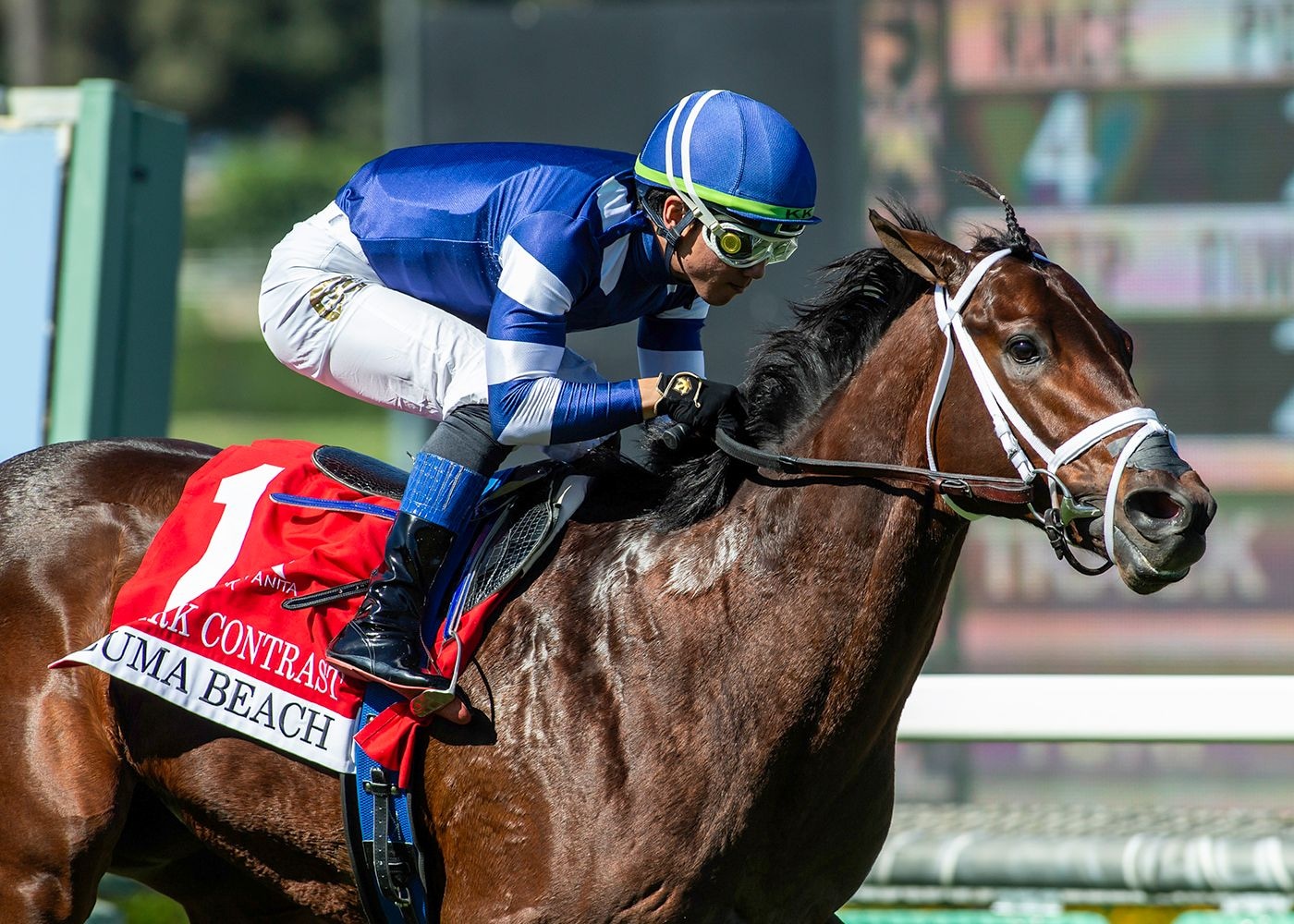 Stark Contrast, Brave Deb capture Santa Anita juvenile turf stakes