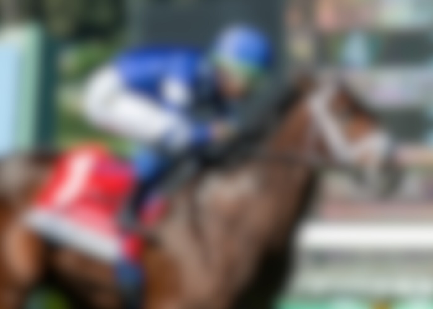 Stark Contrast captures the Zuma Beach (G3)