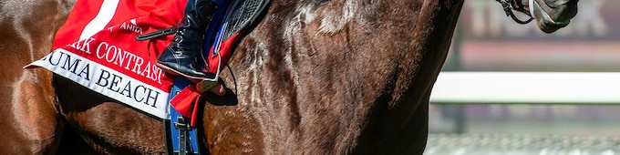 Stark Contrast, Brave Deb capture Santa Anita juvenile turf stakes