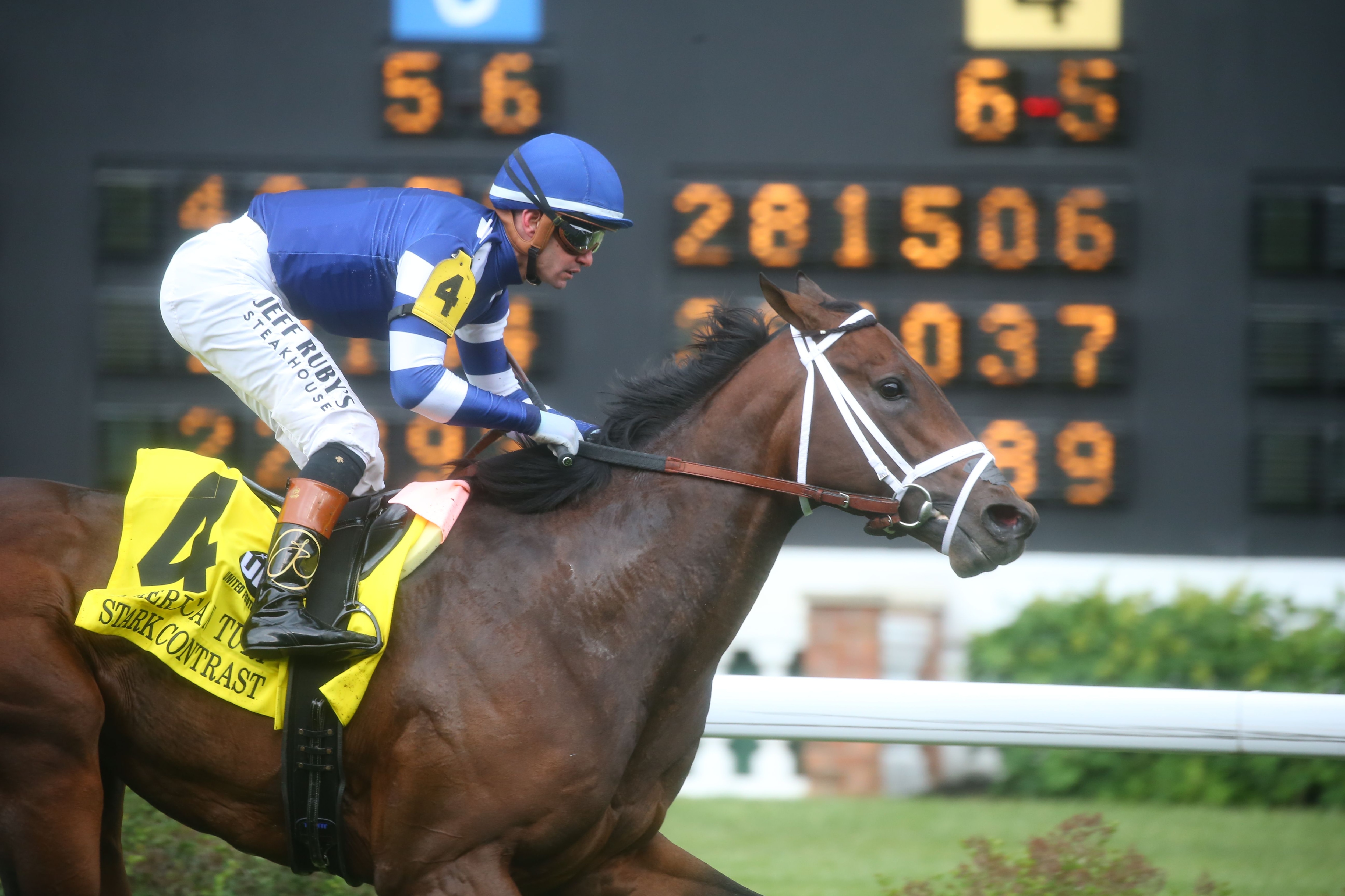 Stark Contrast a clear winner of American Turf