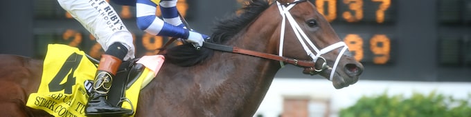 Stark Contrast a clear winner of American Turf