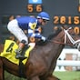 Stark Contrast a clear winner of American Turf