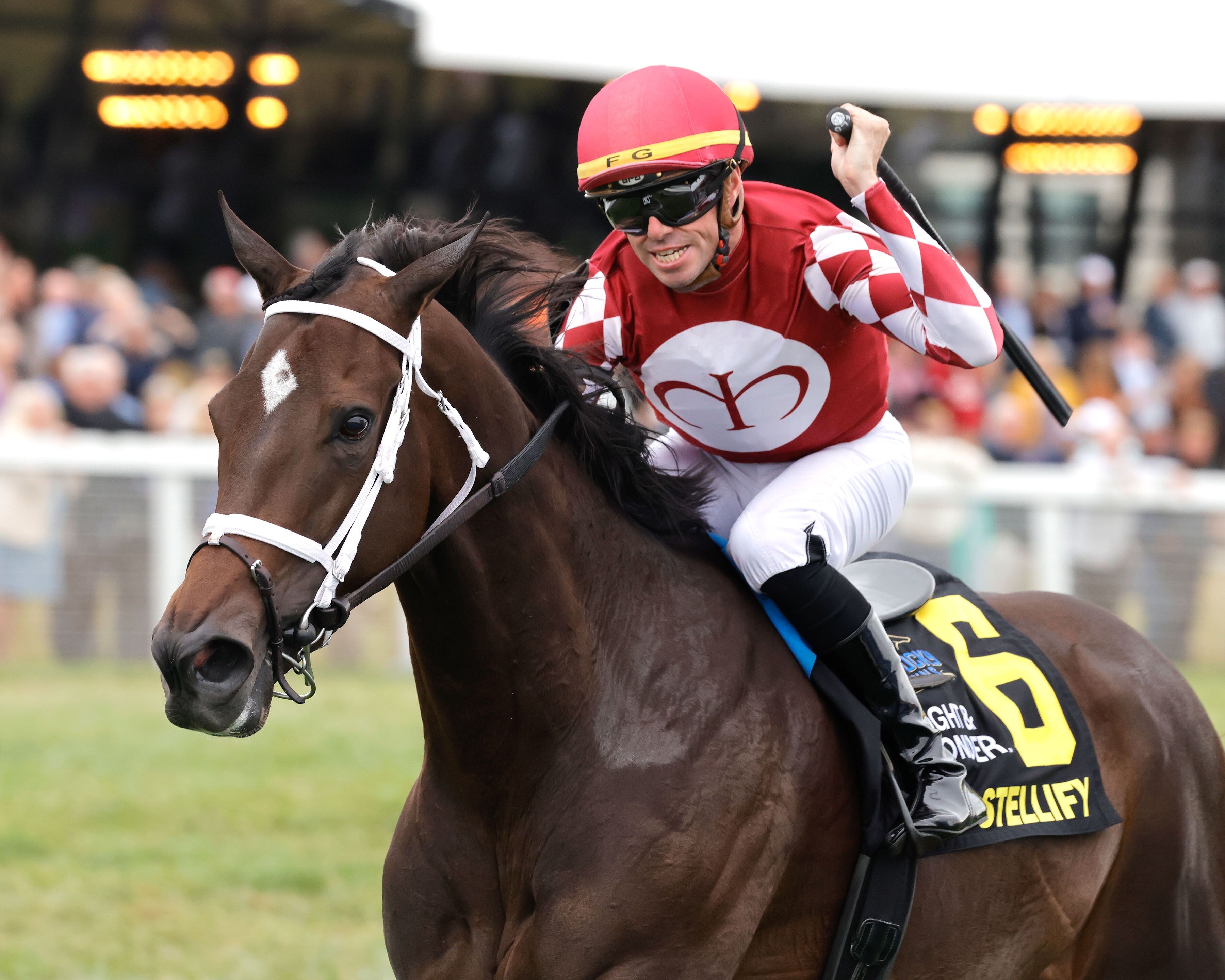 Stellify wired the Ladies Marathon (G3) in her stakes debut